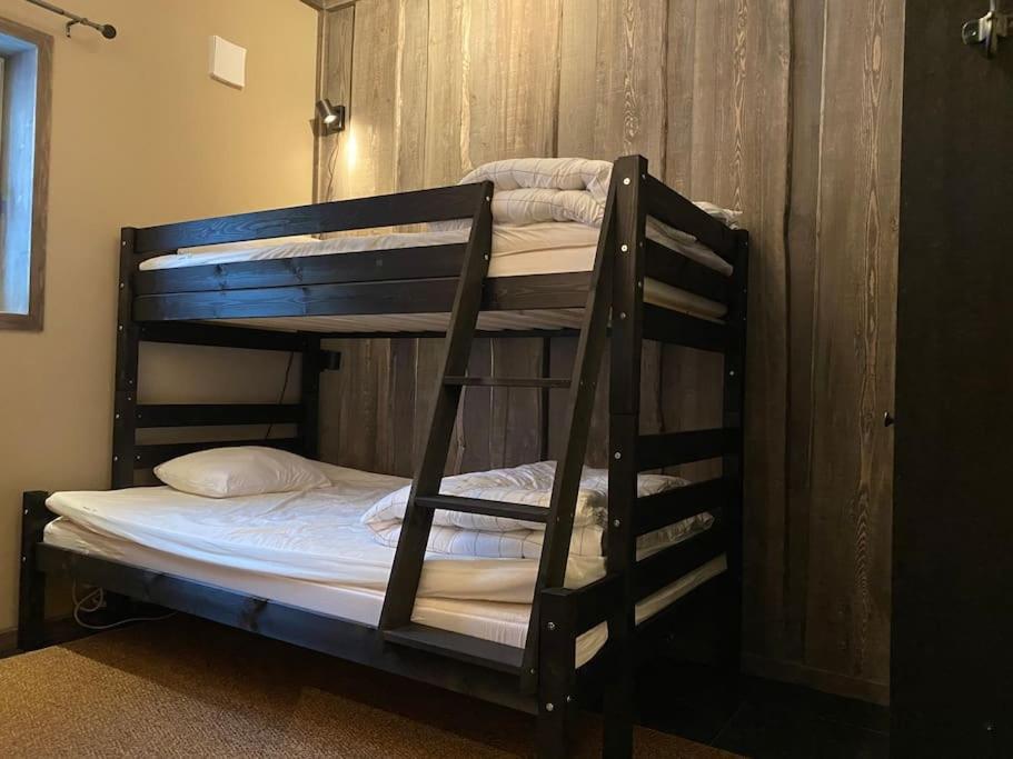 Modern Stuga Med Ski Lodge Kaensla Jarvso Ngoại thất bức ảnh